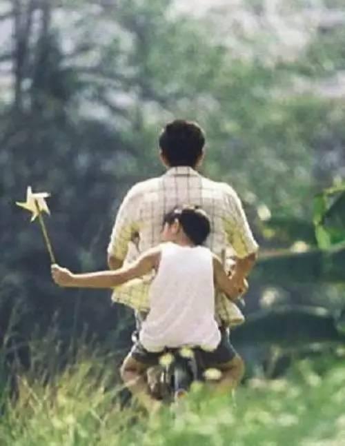 老爸春天在线观看,温馨家庭时光,在线共赏温情瞬间 第3张 老爸春天在线观看,温馨家庭时光,在线共赏温情瞬间 第3张