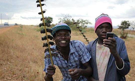 非洲网红吃瓜事件视频在线观看,视频爆笑场面引网友热议 第1张 非洲网红吃瓜事件视频在线观看,视频爆笑场面引网友热议 第1张