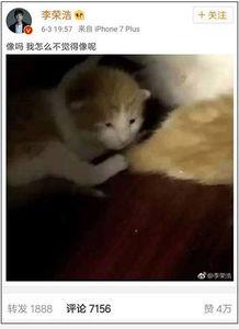 娱乐吃瓜酱小动物视频,小动物娱乐视频大盘点 第1张 娱乐吃瓜酱小动物视频,小动物娱乐视频大盘点 第1张